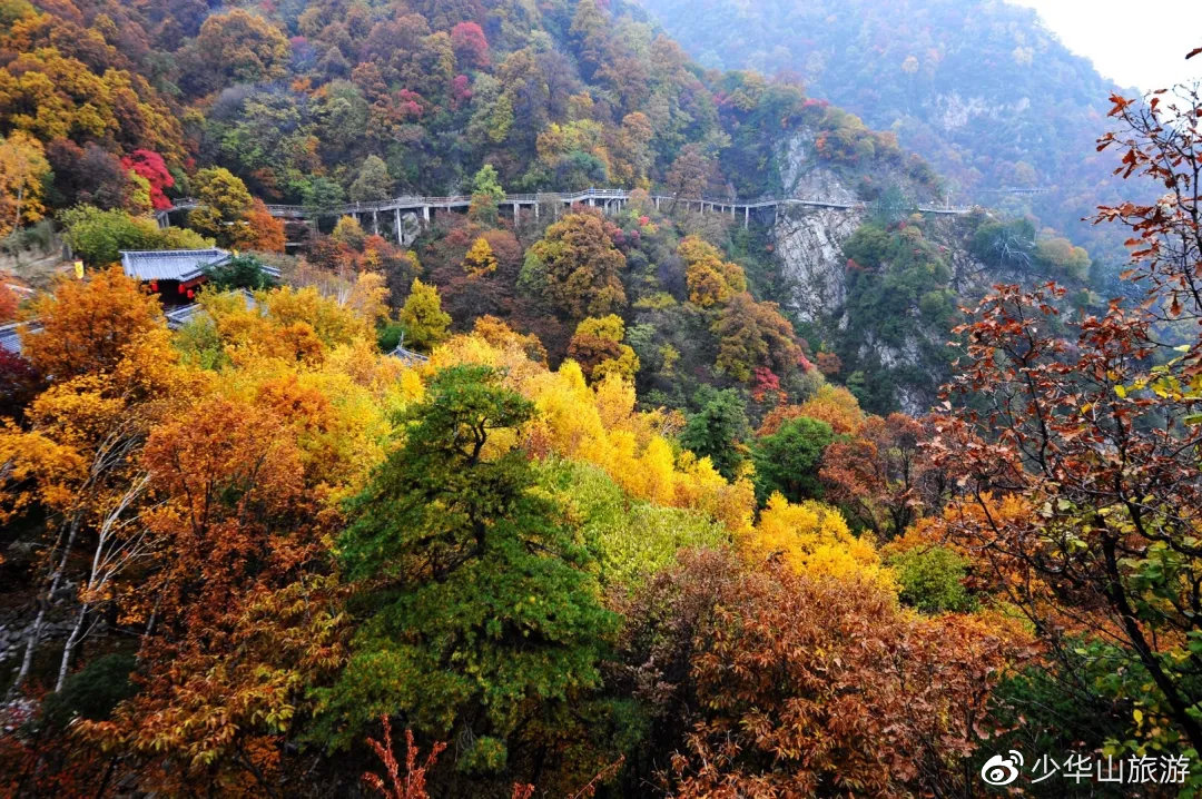 赏红叶，赢大奖！少华山第十二届红叶节惊喜不断，福利多多！(图4)