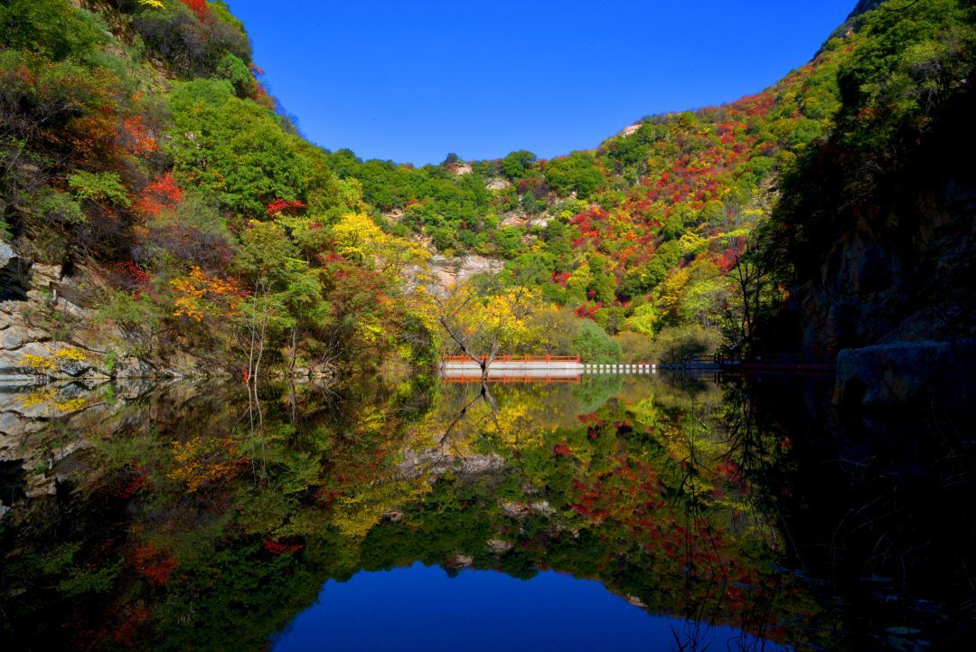 十一小长假完美收官！少华山景区精彩集锦看这里！(图55)